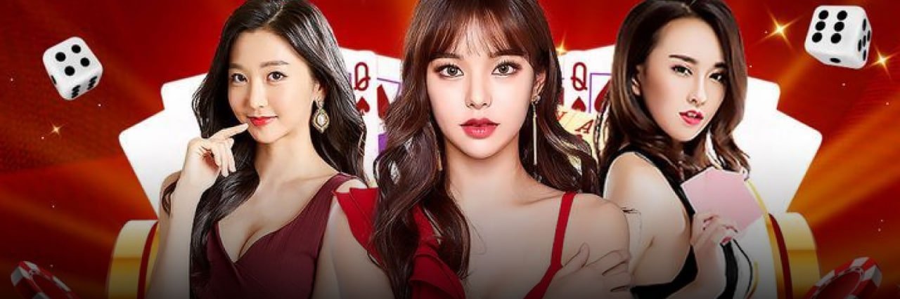lotus bet br